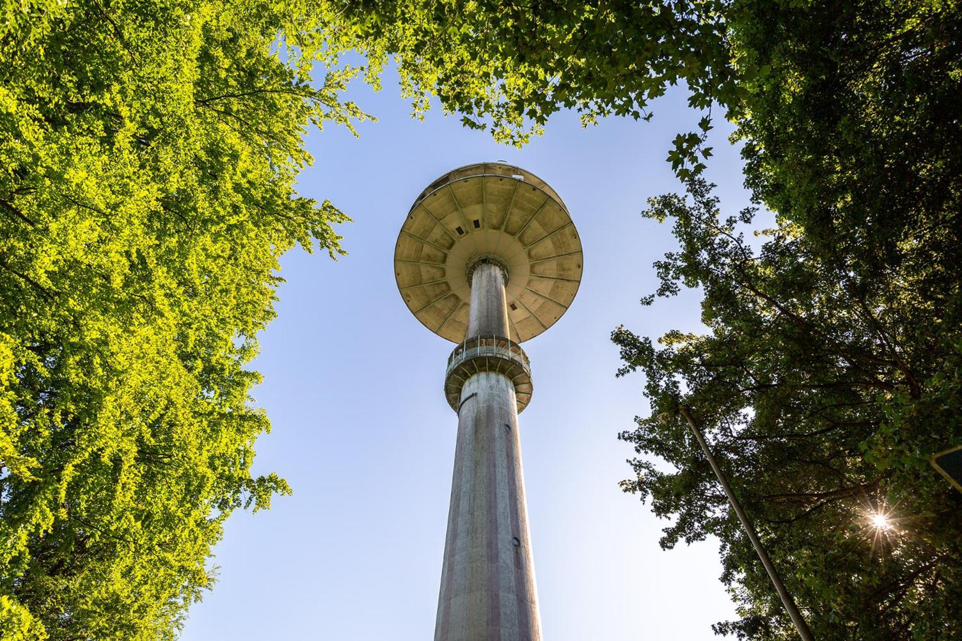 Ferienhaus Am Moenchneversdorfer See Schonwalde am Bungsberg Exteriér fotografie